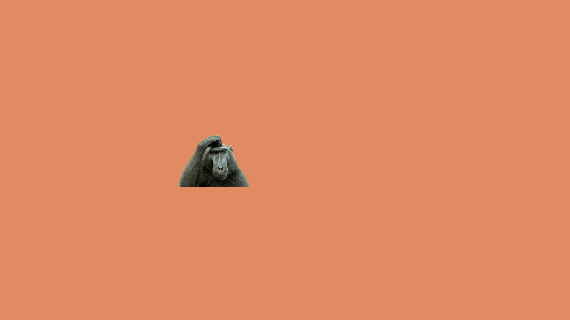 Conceito-Resolve-Fácil.gif