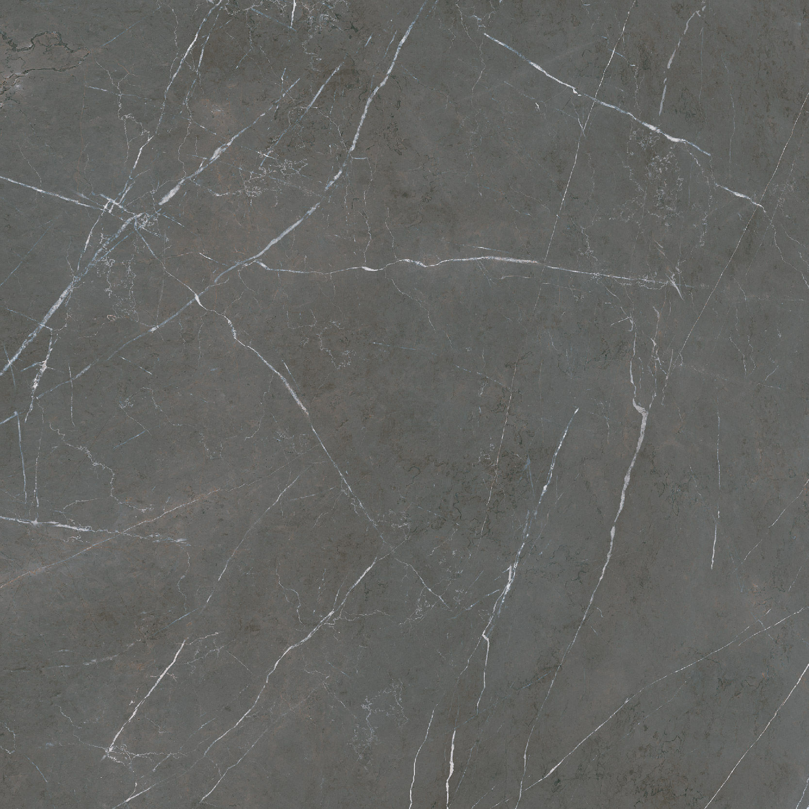 เกรย์ กราไฟท์