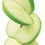 ภาพขนาดย่อ: 1883 Green Apple Syrup