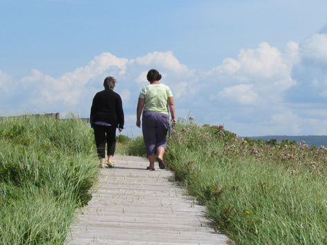 Nova Scotia Independents
 Marketing Hub