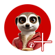 ecokat-+.png