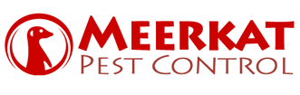 meerkat-may-org.png