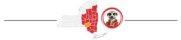 delaware-map.png