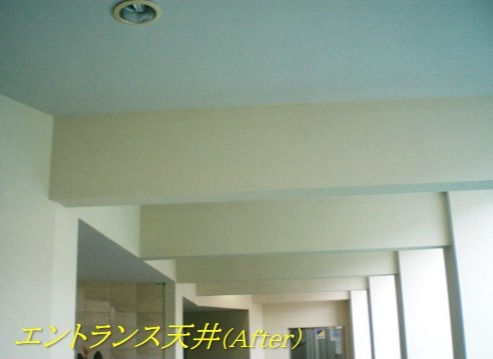 エントランス天井 after_edited