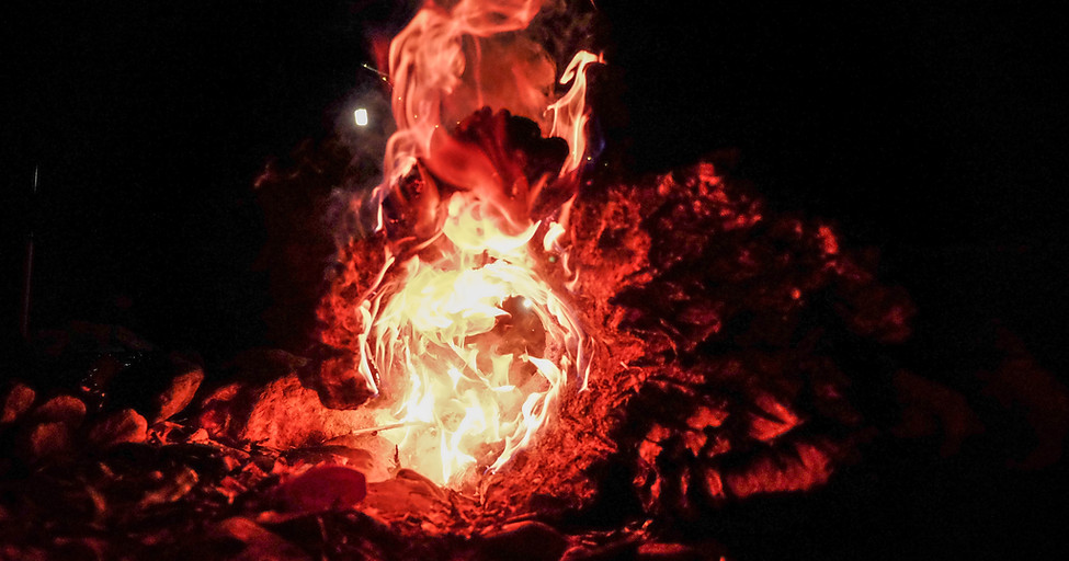 pexels-dương-nhân-2278646.jpg