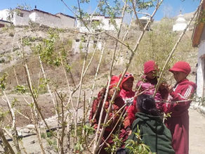 A Transformative Journey at Changchub Chöling Monastery