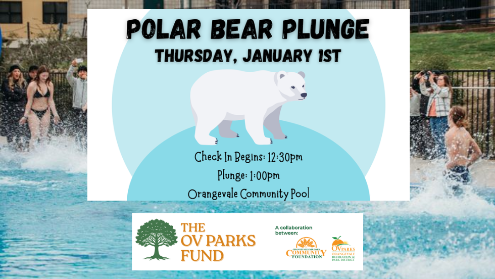 OV Parks Polar Bear Plunge
