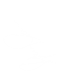 Paper.Journal.4.PNG