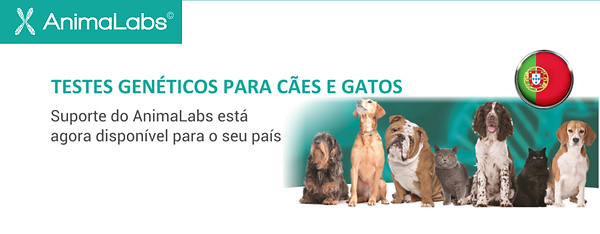 Laboratório.png
