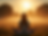 “Inner Peace vs. Collective Conditioning: A Masterclass of Manifestation”