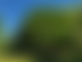 “The Mechanics of Satori: Part 2 - Modern Koans”