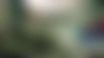 Mulher entra em surto psicótico no Jardim do Bosque em Cachoeirinha