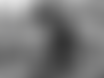 Projeto "Frutas Para Todos" promoveu plantio de árvoresfrutíferas com pais e filhos em Cachoeirinha