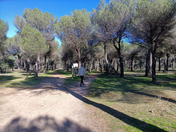 Jornada Técnica de Tropa 