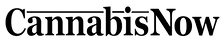 Cannabis Now Logo.png
