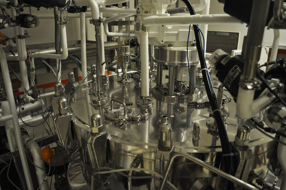 Thumbnail: Fermentor-Diessel-CC600L-29B