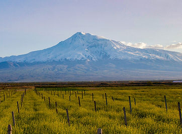 TURKEY-Mount-Ararat.jpg