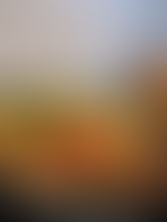 Cari de pois chiches ( 4 portions)