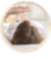Anjou Montreal soins Reiki.png