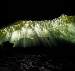 Cenote Edén Edición Limitada.jpg