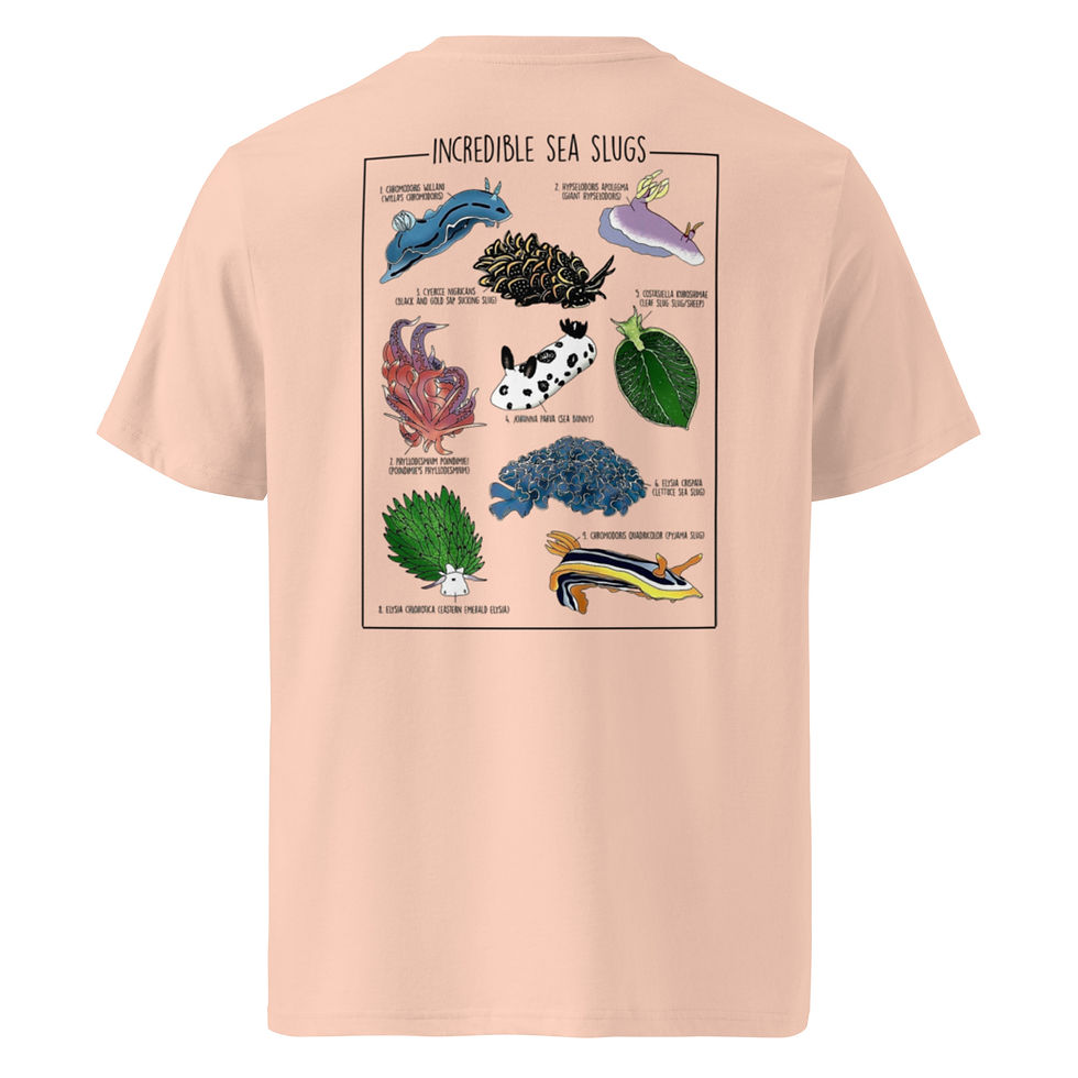 Miniatura: Micro Life — Nudibranch style