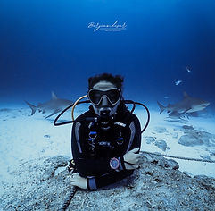 Buceador con tiburones y born to the ocean.jpg