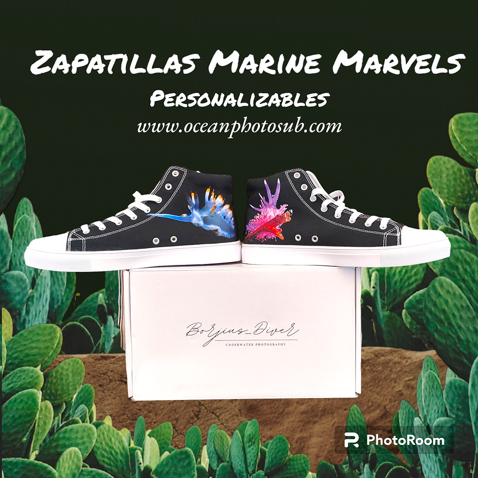 Miniatura: Zapatillas Personalizables "Marine Marvels"