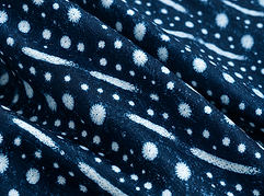 rashguard tiburon ballena.png