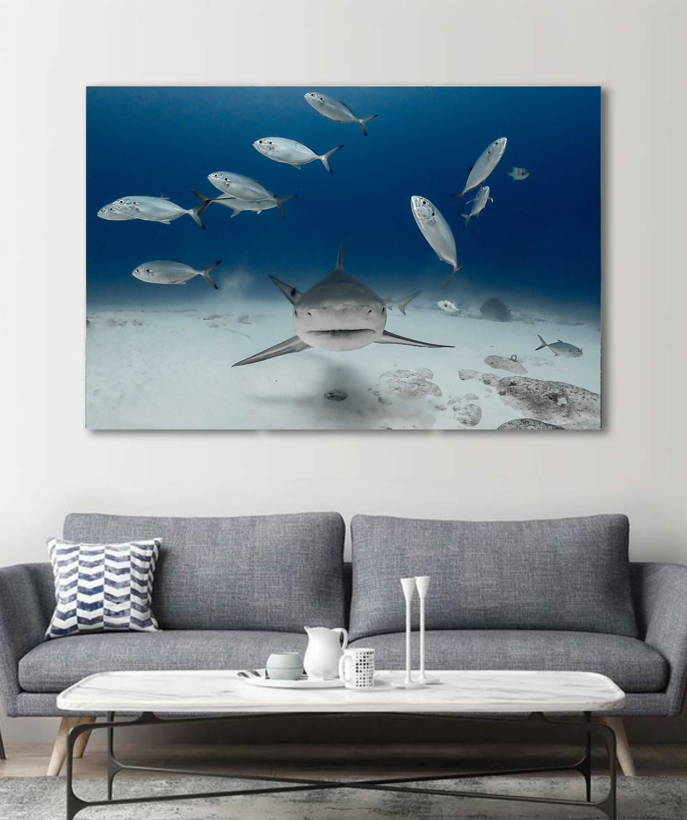 Ocean Legacy - Edición Limitada