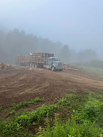 A picture of a log truck full of logs leaving a landing.