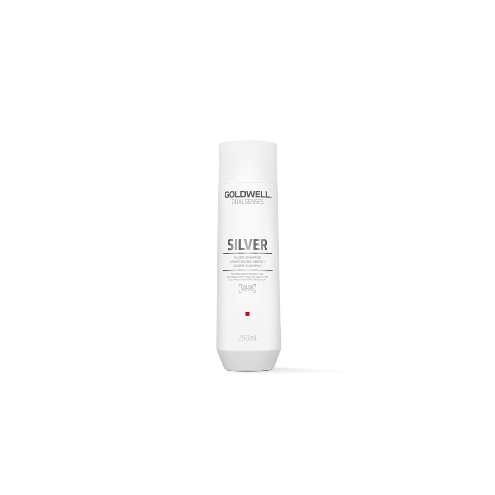 Silver Shampoo