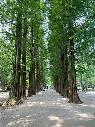 S__173154308.jpg