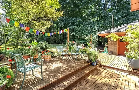 Garden Patio privacy relaxation nature bird wildlife sanctuarty