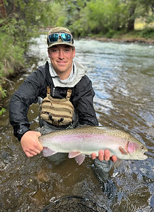 Rainbow Trout Fish, Fly Fishing in the River
