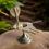 Thumbnail: Salvus APP SOLUTIONS Brass Shivling Jaldhari with Naag Stand(Gold_4.5x4.5 inch)