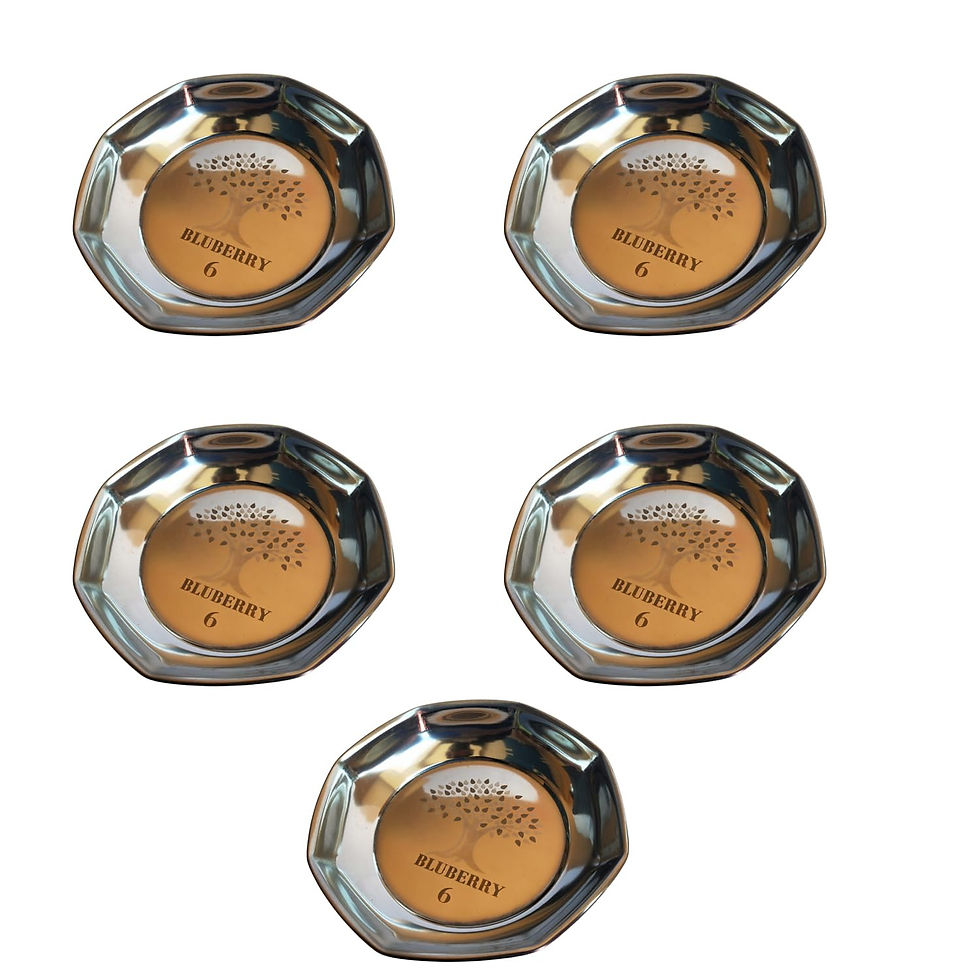 Salvus APP SOLUTIONS Premium Stainless Steel Plate, 5-Pc (Silver_5 Inch)