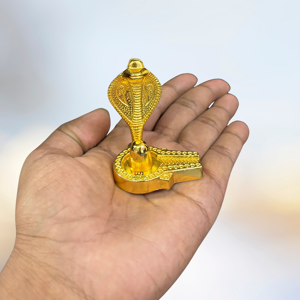 Salvus App SOLUTIONS Metal Handmade Shivling/Shiva Pindi with Sheshnaag Statue