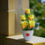 Thumbnail: Salvus APP SOLUTIONS  Artificial Flowers with Pot Vase (Yellow_3x9 Inch)