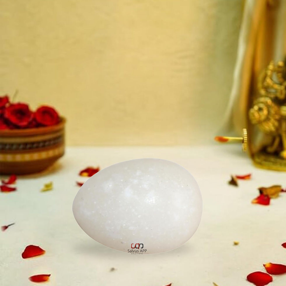 Thumbnail: Salvus App SOLUTIONS Natural White Marble Shaligram Shivling (4x2.5 cm)