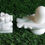 Thumbnail: Salvus APP SOLUTIONS White Marble Shivling and Nandi Idol (3.5 x 3.5 Inch)