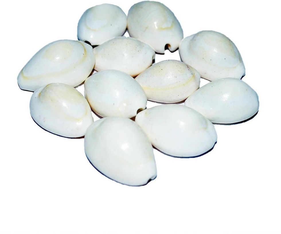 Salvus APP SOLUTIONS White Kaudi Sacred Shankh Stoneware Yantra (Pack of 11)