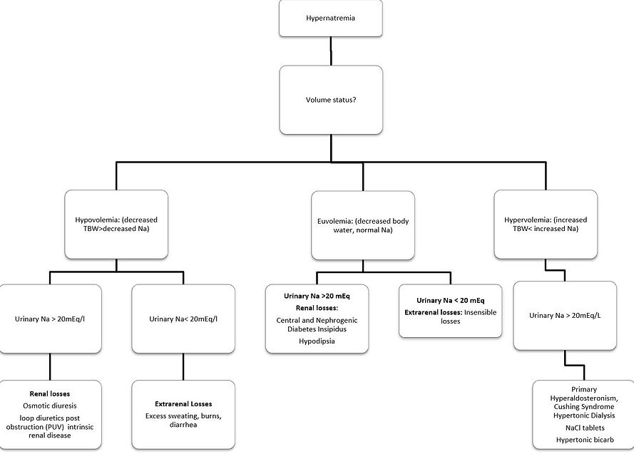 DD Hypernatremia_edited.jpg