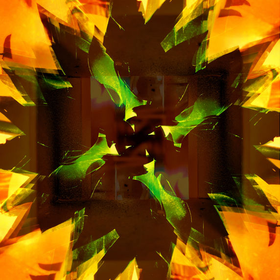 A Room With Not Just Hair Inside