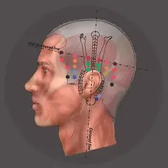 Acupuncture yamamoto toulon alexandra massages energisants