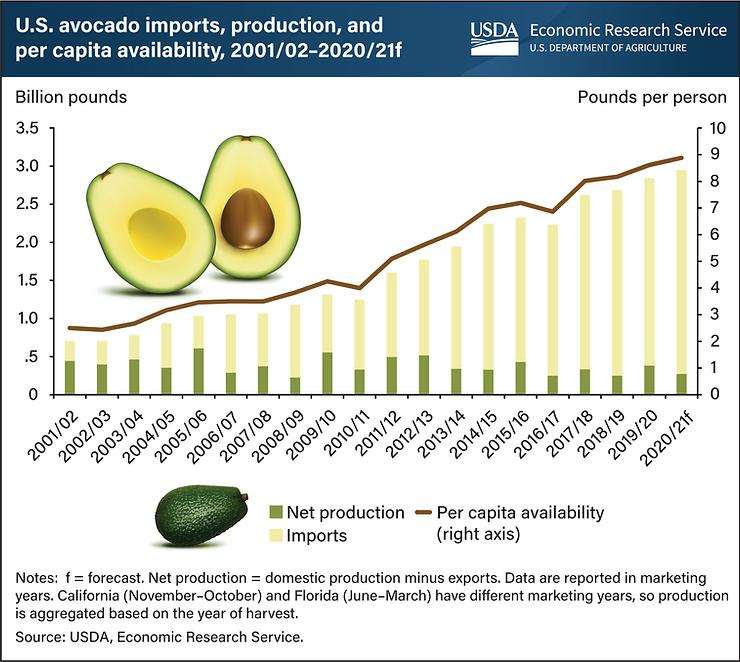 usda data and chart showing avocado production and imports to america over 20 years