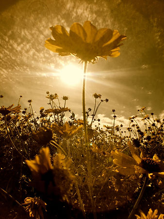 IMG_9447.jpeg