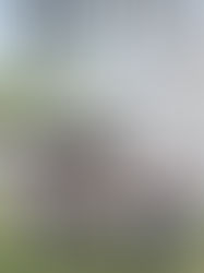 BIGGEST BOOK SALE EVER!