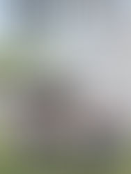 BIGGEST BOOK SALE EVER!