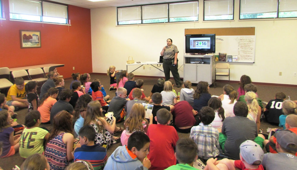 About the Marionville Library