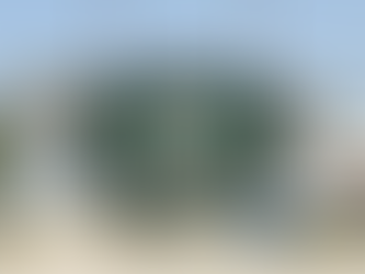 Eagle Rock Library Grand Opening 